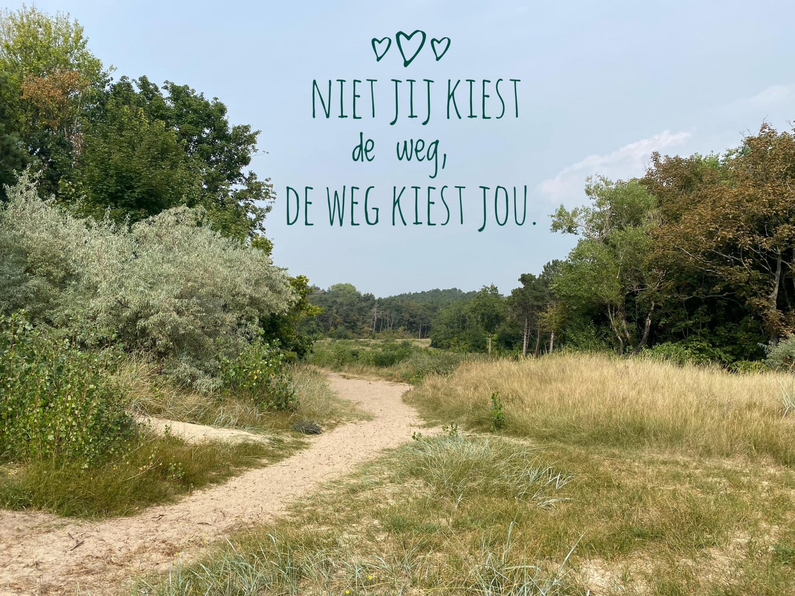 De weg!